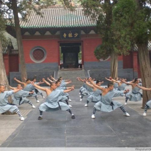 Shaolin Temple Group Training
